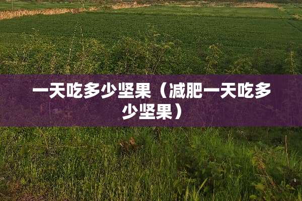一天吃多少坚果（减肥一天吃多少坚果）