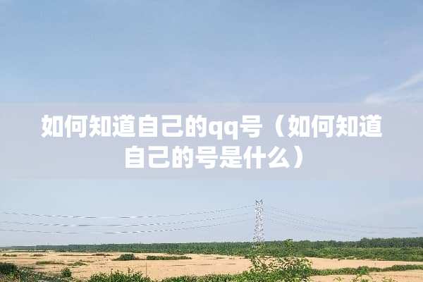 如何知道自己的qq号（如何知道自己的号是什么）