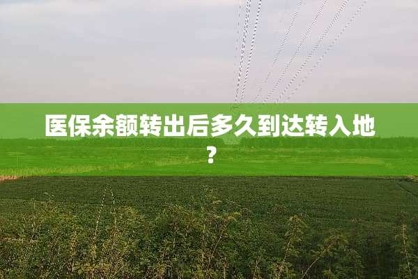 医保余额转出后多久到达转入地？