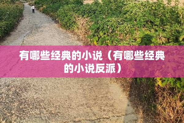 有哪些经典的小说（有哪些经典的小说反派）