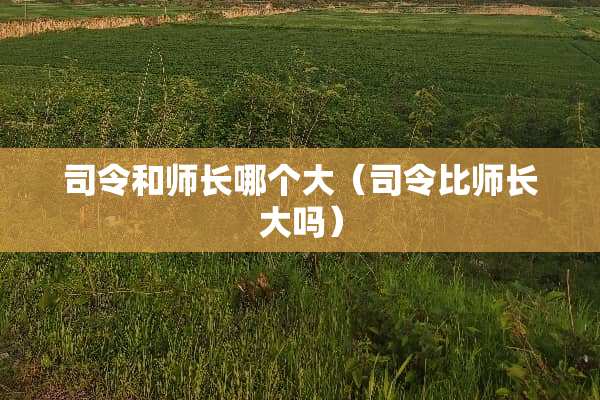 司令和师长哪个大（司令比师长大吗）