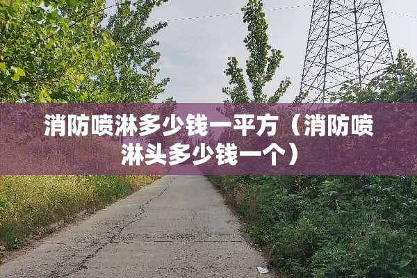 消防喷淋多少钱一平方（消防喷淋头多少钱一个）