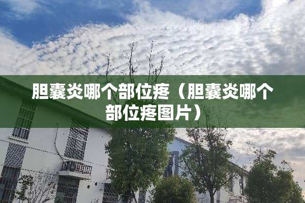 胆囊炎哪个部位疼（胆囊炎哪个部位疼图片）
