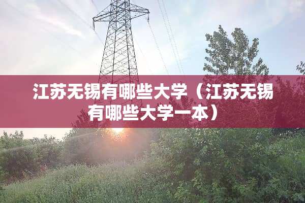 江苏无锡有哪些大学（江苏无锡有哪些大学一本）