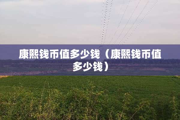 康熙钱币值多少钱（康熙钱币值多少钱）