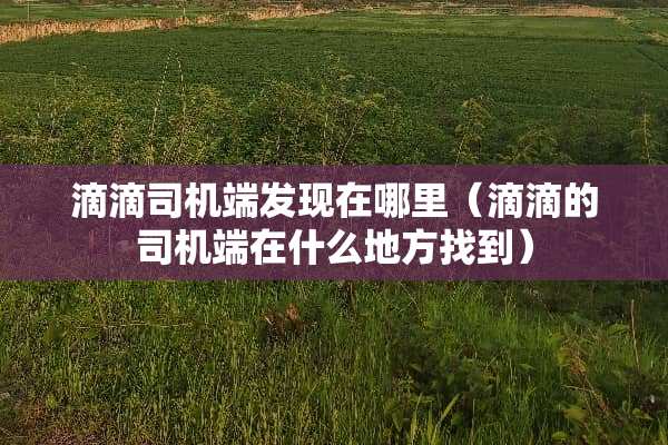 滴滴司机端发现在哪里（滴滴的司机端在什么地方找到）