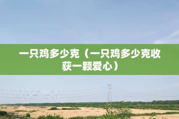 一只鸡多少克（一只鸡多少克收获一颗爱心）
