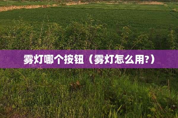 雾灯哪个按钮（雾灯怎么用?）