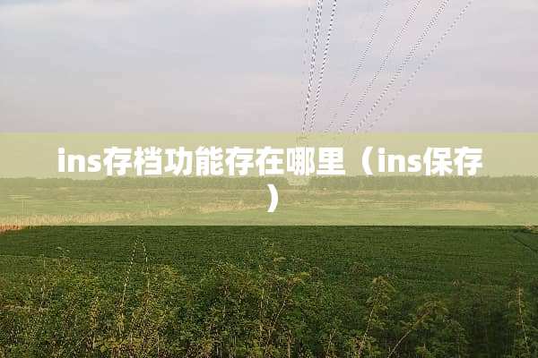ins存档功能存在哪里（ins保存）