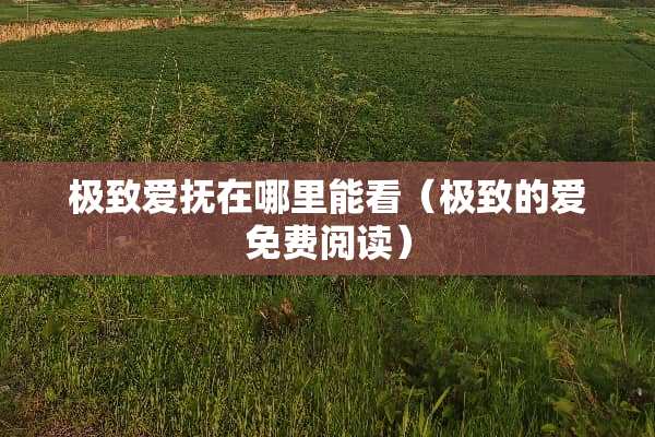 极致爱抚在哪里能看（极致的爱免费阅读）