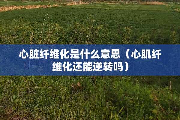 心脏纤维化是什么意思（心肌纤维化还能逆转吗）