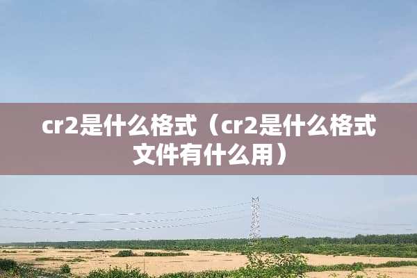 cr2是什么格式（cr2是什么格式文件有什么用）