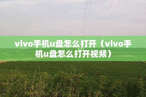 vivo手机u盘怎么打开（vivo手机u盘怎么打开视频）