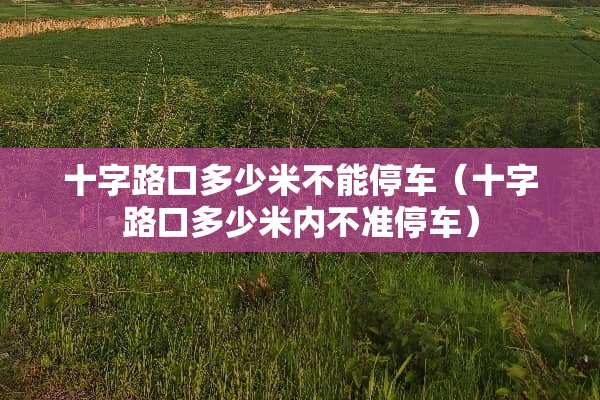 十字路口多少米不能停车（十字路口多少米内不准停车）
