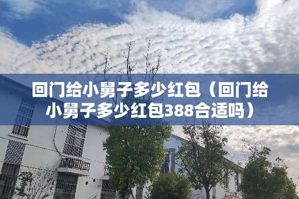 回门给小舅子多少红包（回门给小舅子多少红包388合适吗）