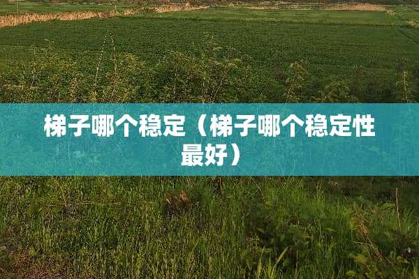 梯子哪个稳定（梯子哪个稳定性最好）