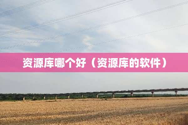 资源库哪个好（资源库的软件）