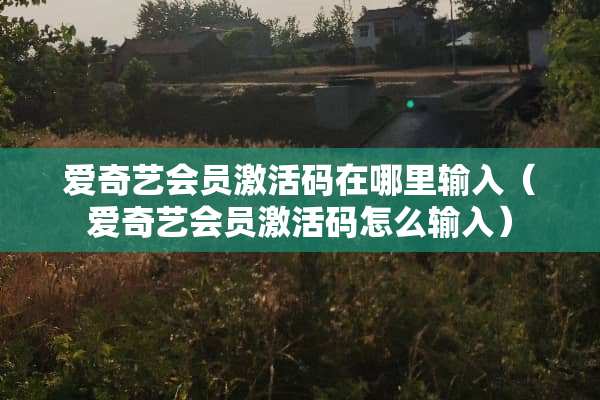 爱奇艺会员激活码在哪里输入（爱奇艺会员激活码怎么输入）