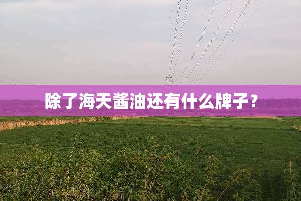除了海天酱油还有什么牌子？