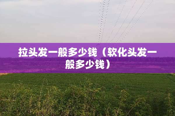 拉头发一般多少钱（软化头发一般多少钱）