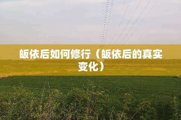 皈依后如何修行（皈依后的真实变化）