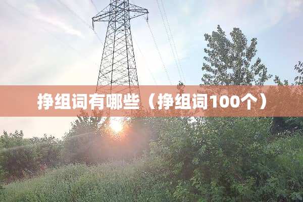 挣组词有哪些（挣组词100个）