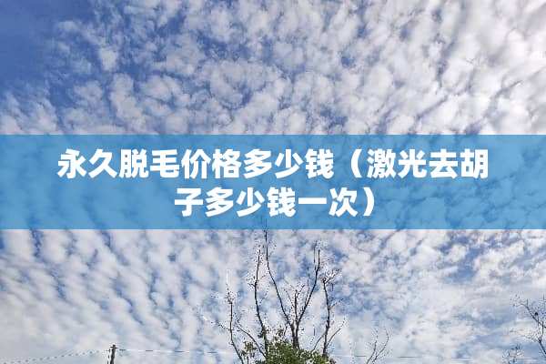 永久脱毛价格多少钱（激光去胡子多少钱一次）
