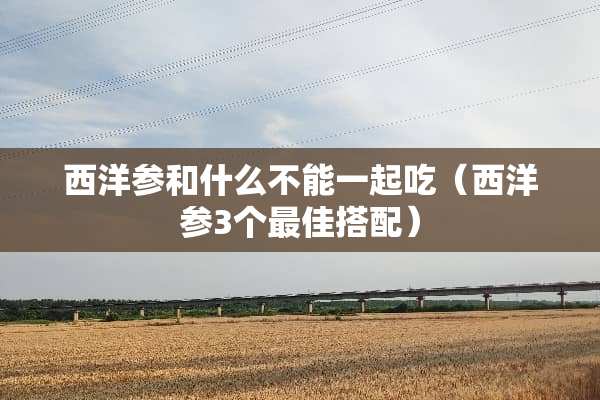 西洋参和什么不能一起吃（西洋参3个最佳搭配）