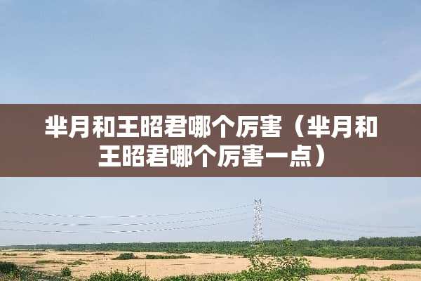 芈月和王昭君哪个厉害（芈月和王昭君哪个厉害一点）