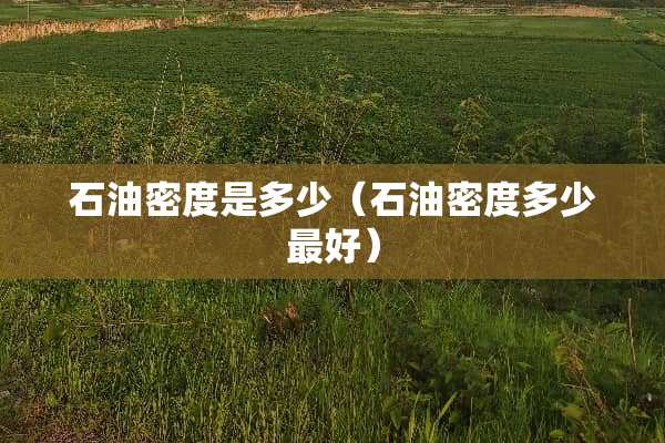 石油密度是多少（石油密度多少最好）