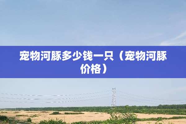 宠物河豚多少钱一只（宠物河豚价格）