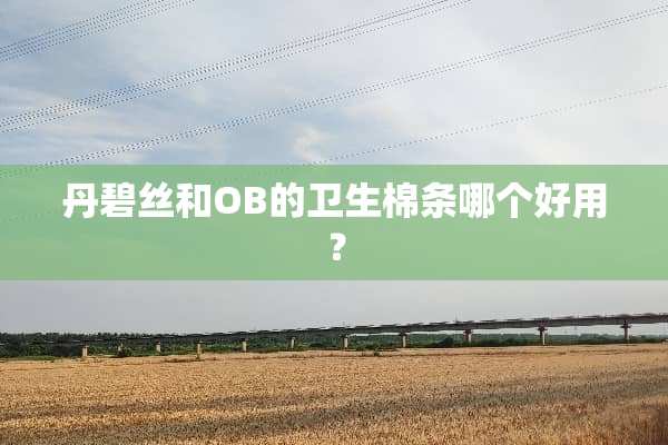 丹碧丝和OB的卫生棉条哪个好用？