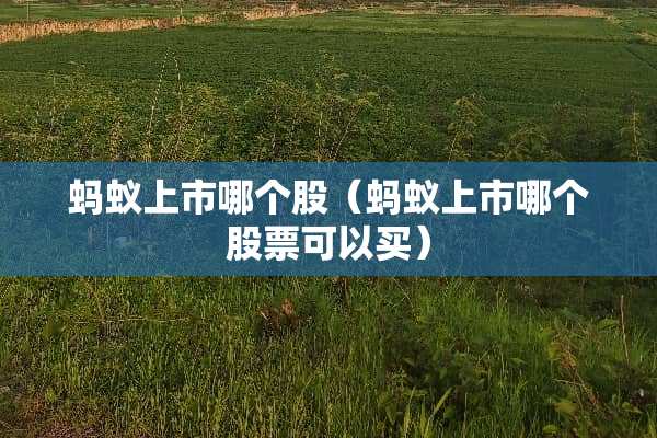 蚂蚁上市哪个股（蚂蚁上市哪个股票可以买）