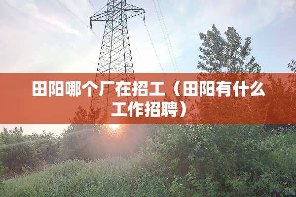 田阳哪个厂在招工（田阳有什么工作招聘）