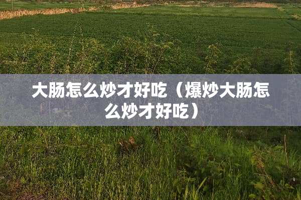 大肠怎么炒才好吃（爆炒大肠怎么炒才好吃）