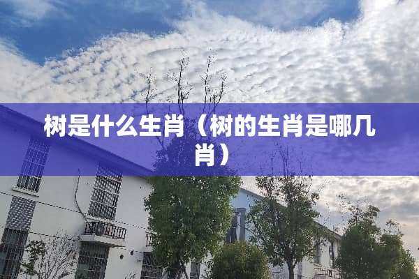 树是什么生肖（树的生肖是哪几肖）