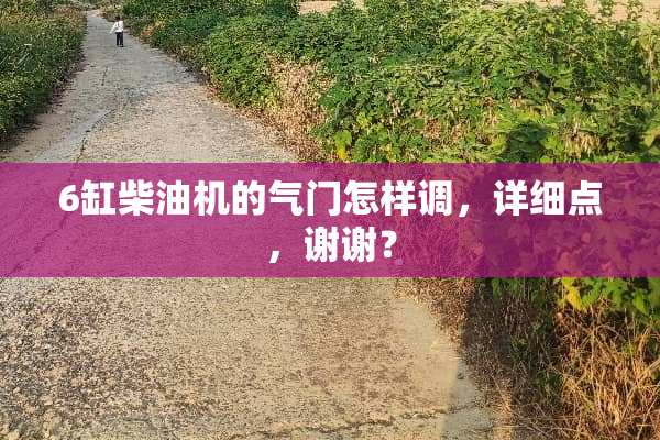 6缸柴油机的气门怎样调，详细点，谢谢？