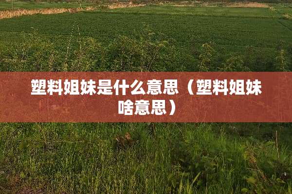塑料姐妹是什么意思（塑料姐妹啥意思）