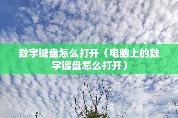 数字键盘怎么打开（电脑上的数字键盘怎么打开）