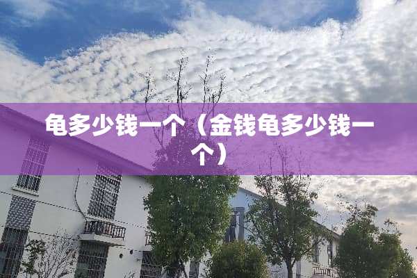 龟多少钱一个（金钱龟多少钱一个）