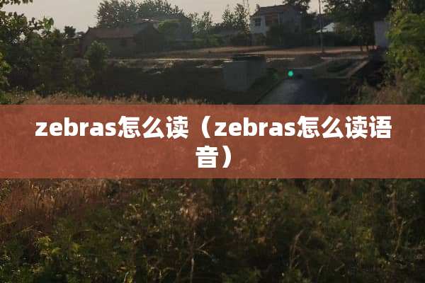 zebras怎么读（zebras怎么读语音）