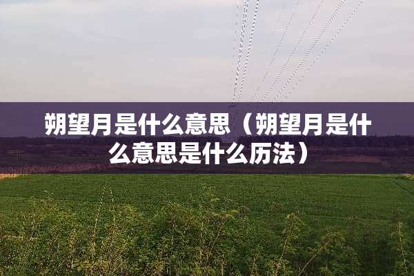 朔望月是什么意思（朔望月是什么意思是什么历法）