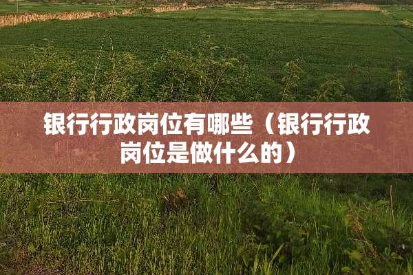 银行行政岗位有哪些（银行行政岗位是做什么的）