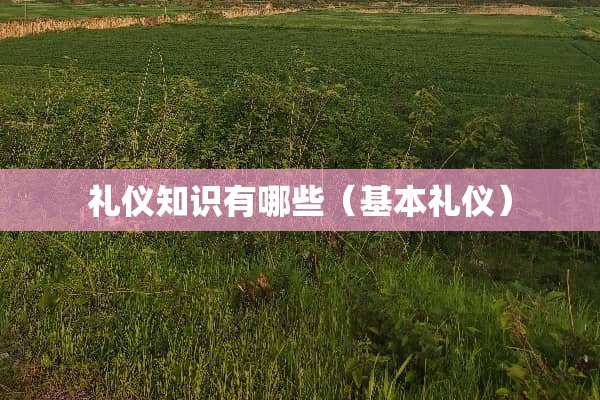 礼仪知识有哪些（基本礼仪）