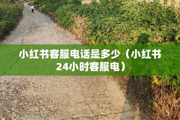 小红书客服电话是多少（小红书24小时客服电）
