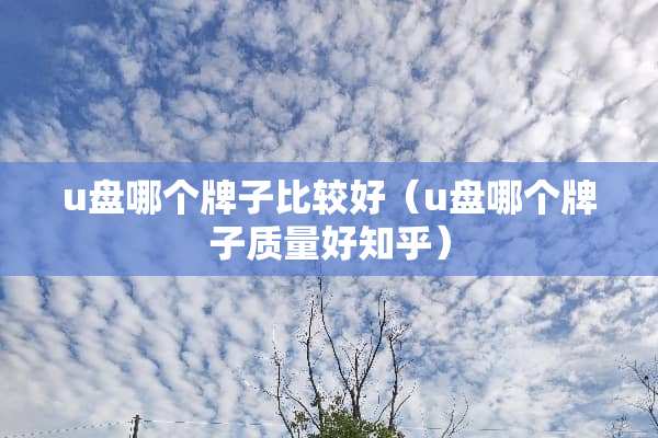 u盘哪个牌子比较好（u盘哪个牌子质量好知乎）