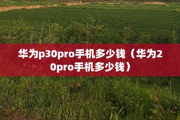 华为p30pro手机多少钱（华为20pro手机多少钱）