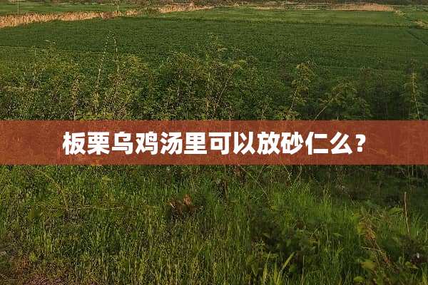 板栗乌鸡汤里可以放砂仁么？