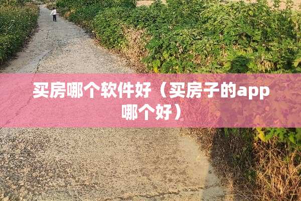 买房哪个软件好（买房子的app哪个好）