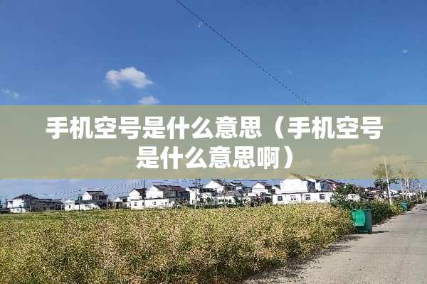 手机空号是什么意思（手机空号是什么意思啊）